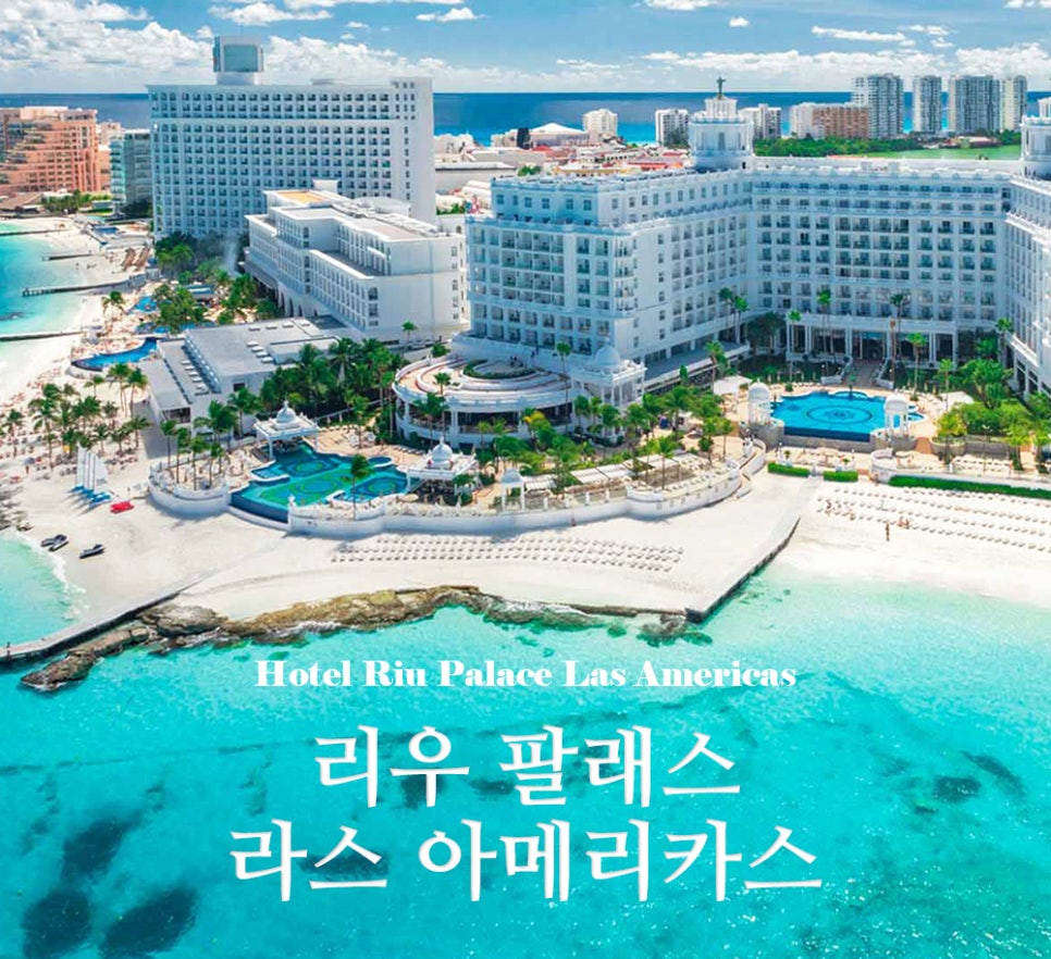리우리나 이미지