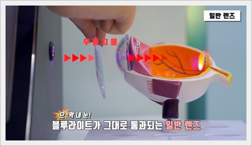 블루컷 이미지