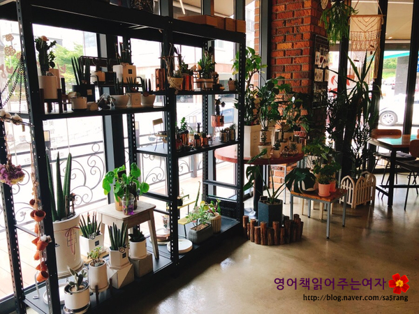복사꽃다방 이미지
