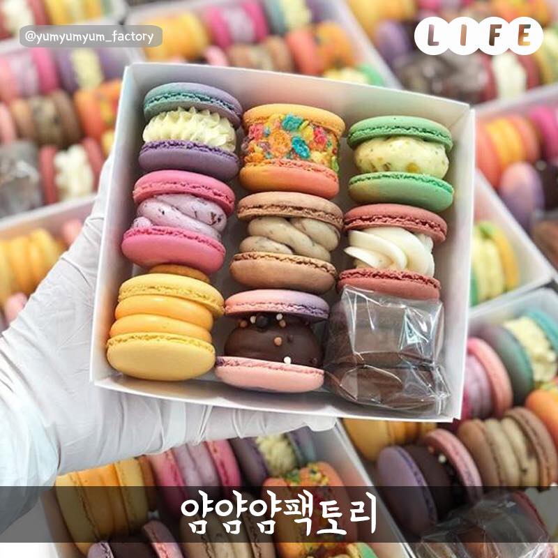 마카롱팩토리 이미지