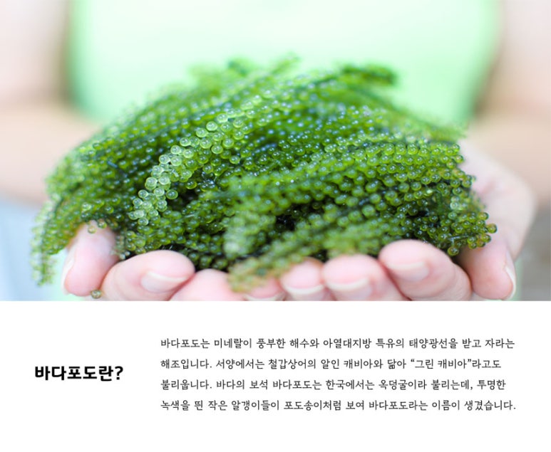 (주) 대진엠에스 이미지