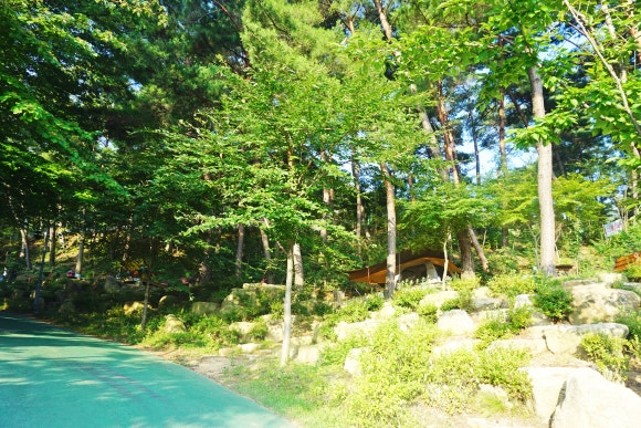 화왕산자연휴양림 이미지