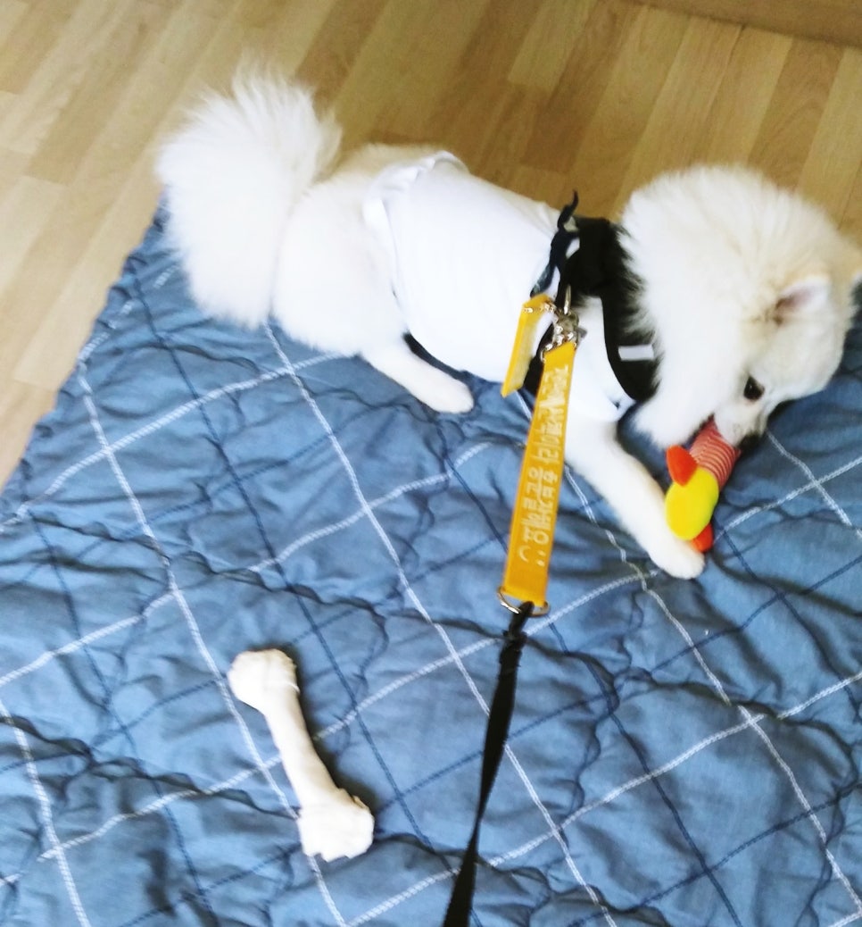 에듀펜샵 이미지