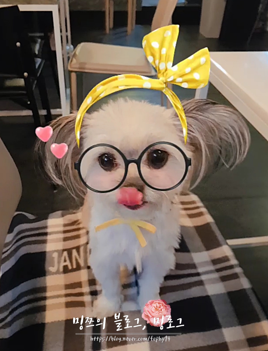 코시나(Cocina) 이미지