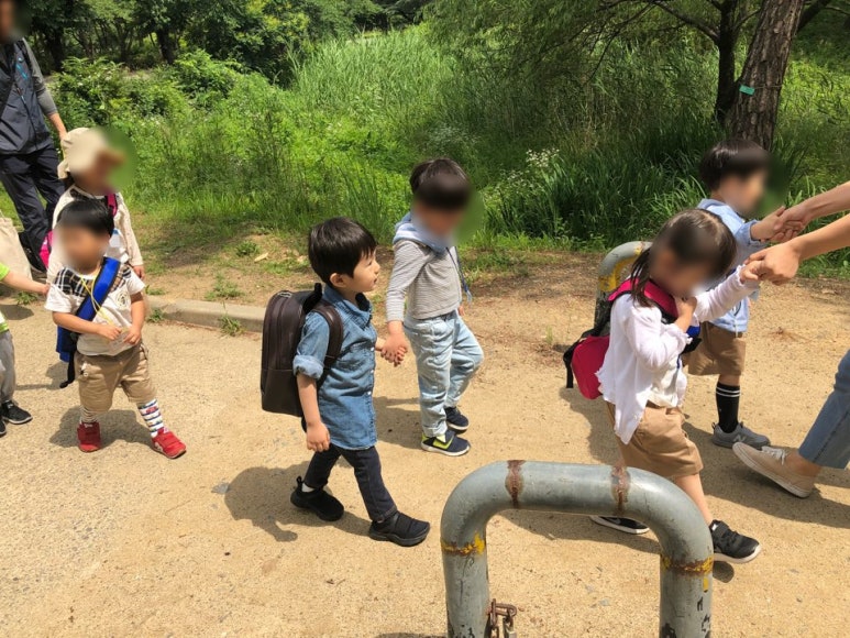 시지아이숲유치원 이미지