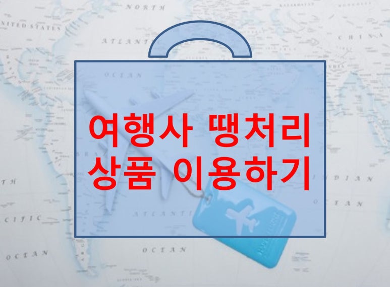 초이스여행사 이미지