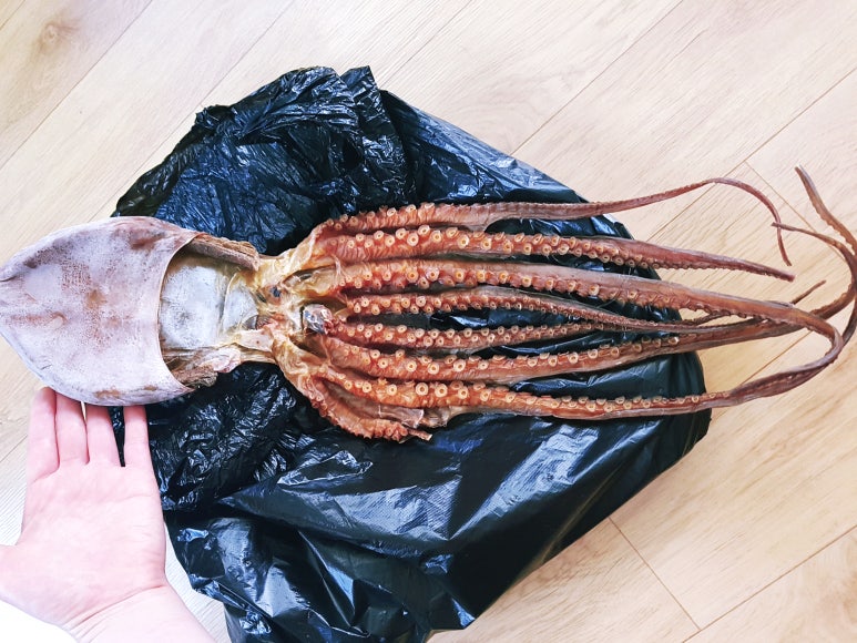 거북선건어물 이미지