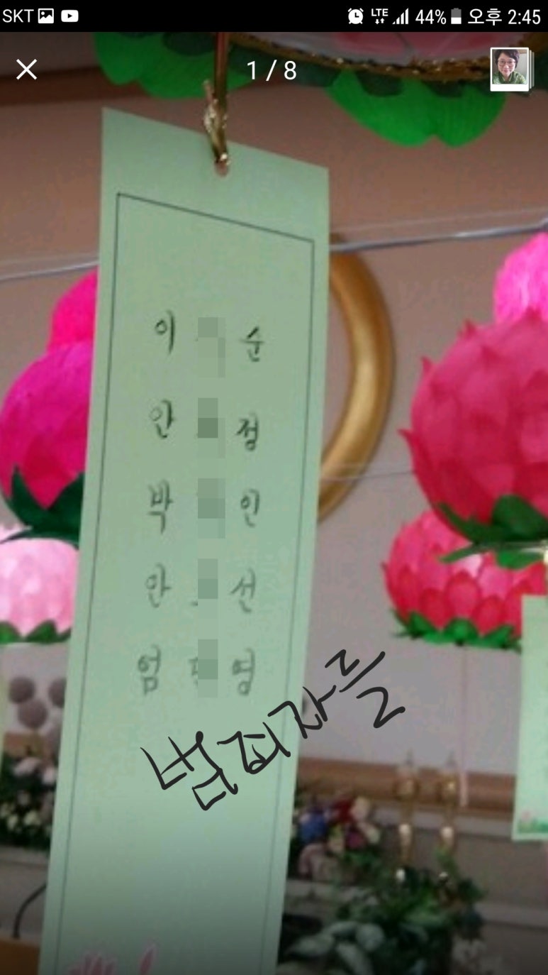 오후5시;사과밭 이미지