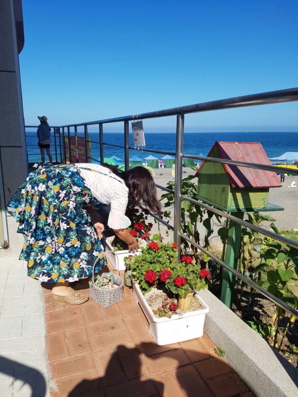 갤러리몽돌 이미지