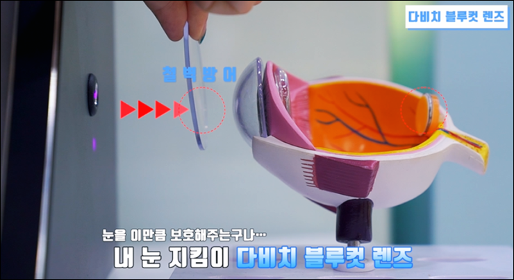 블루컷 이미지