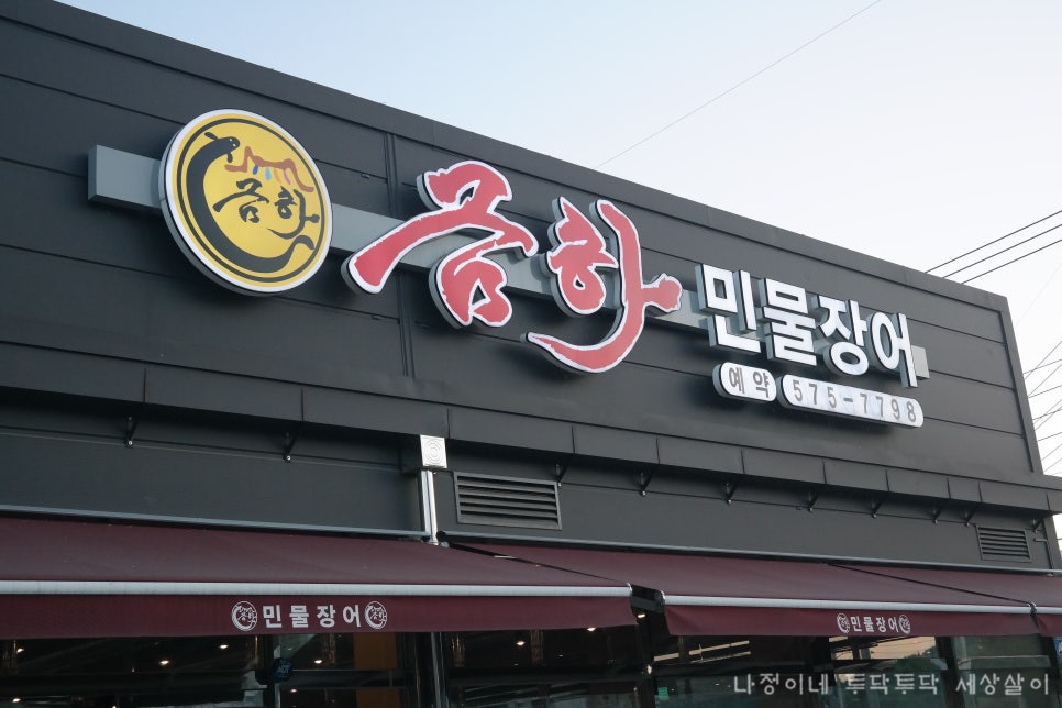 금하민물장어 이미지