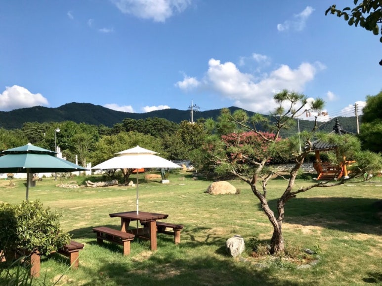 명지원 이미지