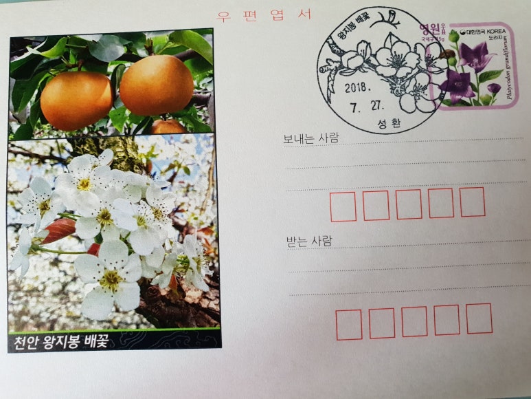 성환통신 이미지
