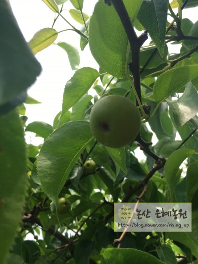 은혜농원 이미지