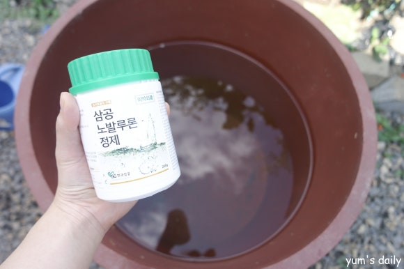 이푸른환경 이미지