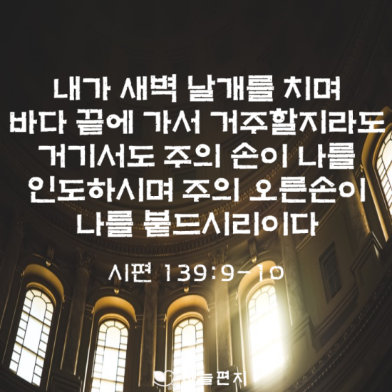 (주)새벽바다 이미지