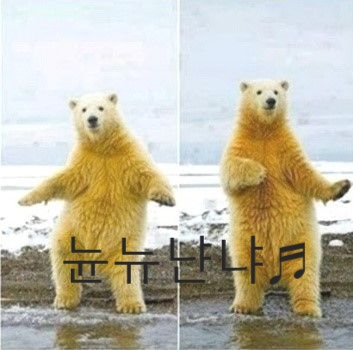 평택호자동차극장 이미지