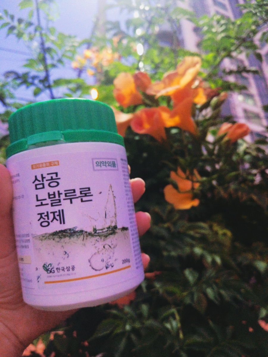 이푸른환경 이미지