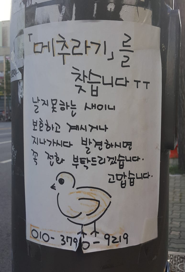 메추라기집 이미지