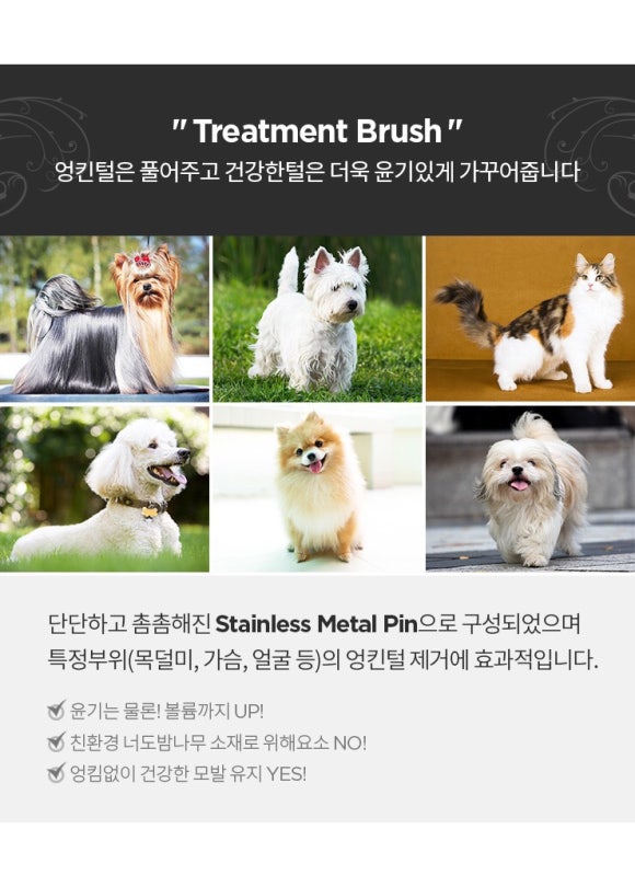 마스 이미지