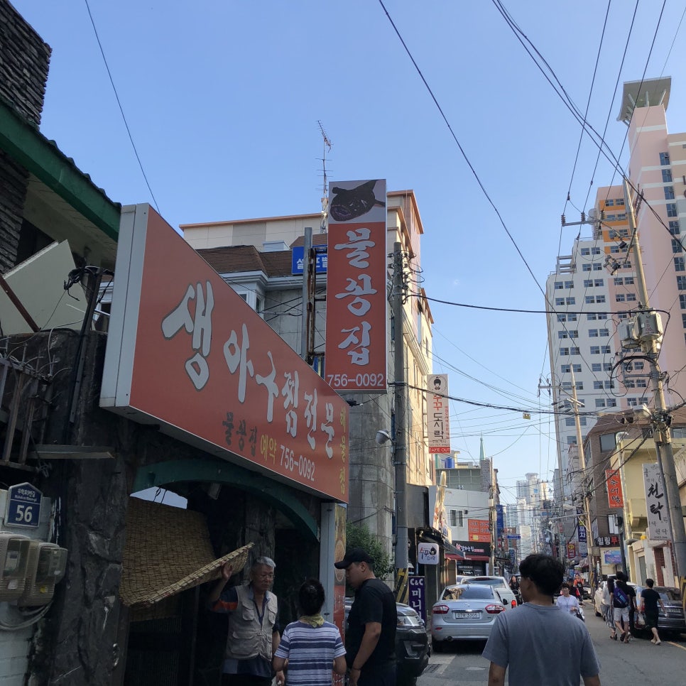 물꽁집 이미지