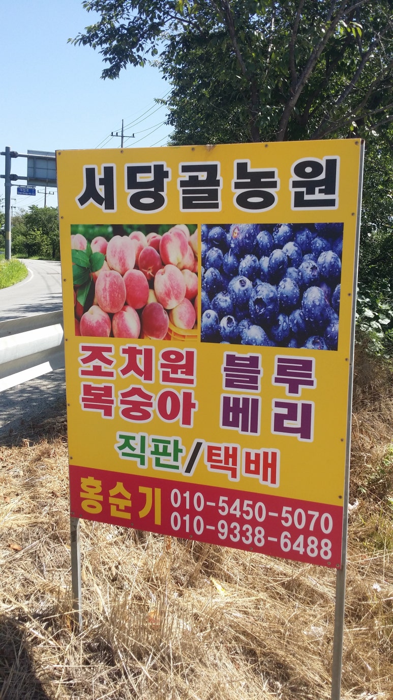 서당골농원 이미지