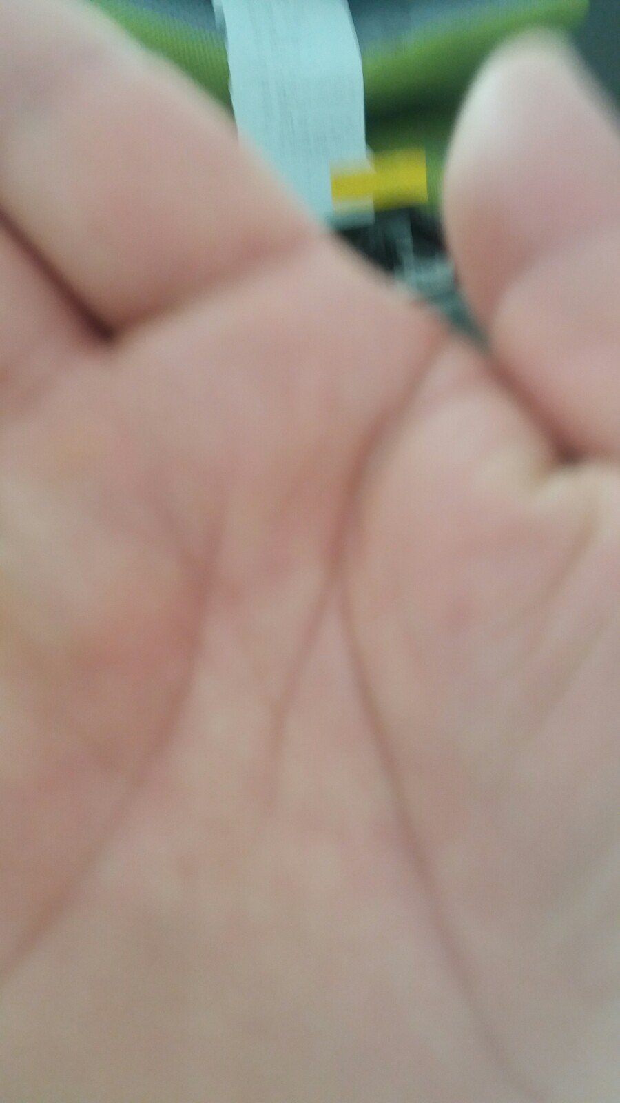 황토장어마을 이미지
