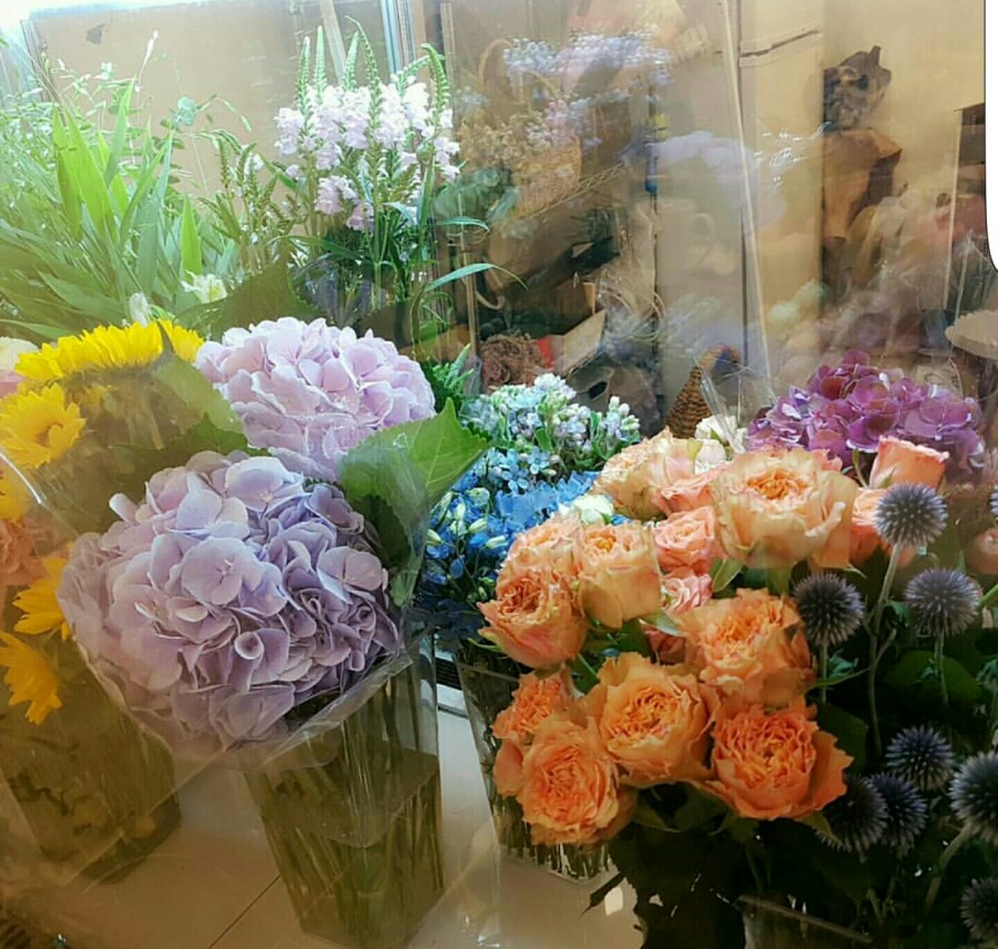 제인이좋아 이미지