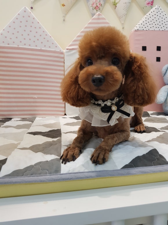 문정미용타운 이미지