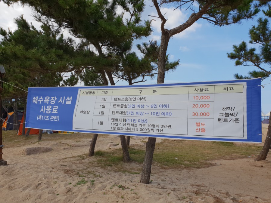 대진해수욕장 야영장 이미지