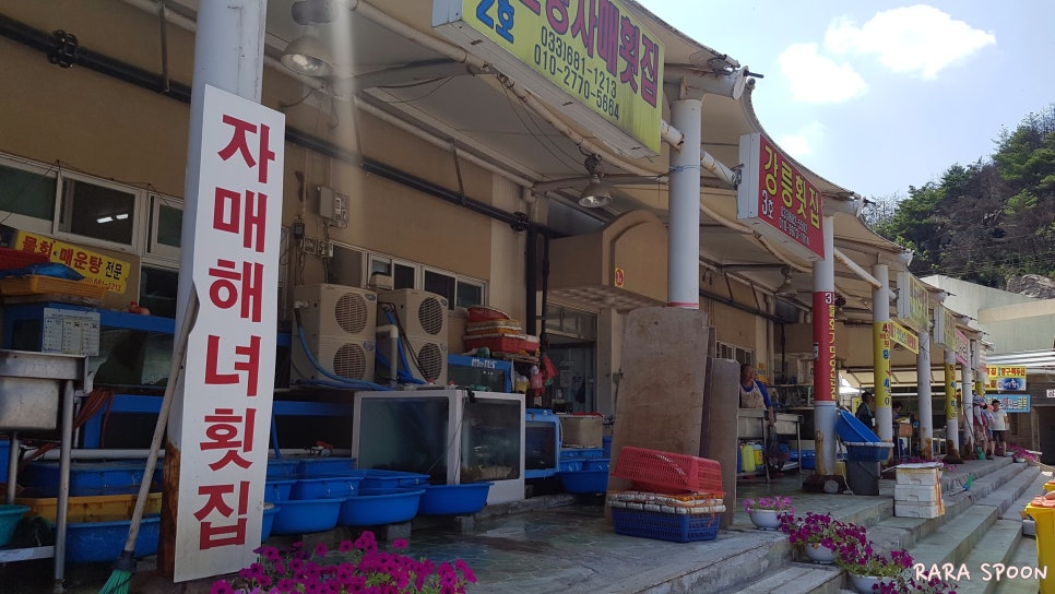 백두산이모네 이미지