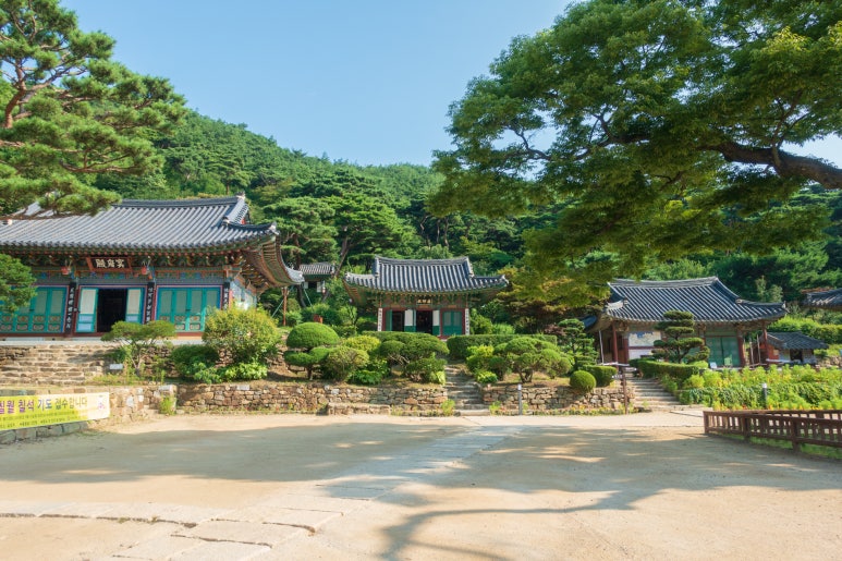 카페다원 이미지