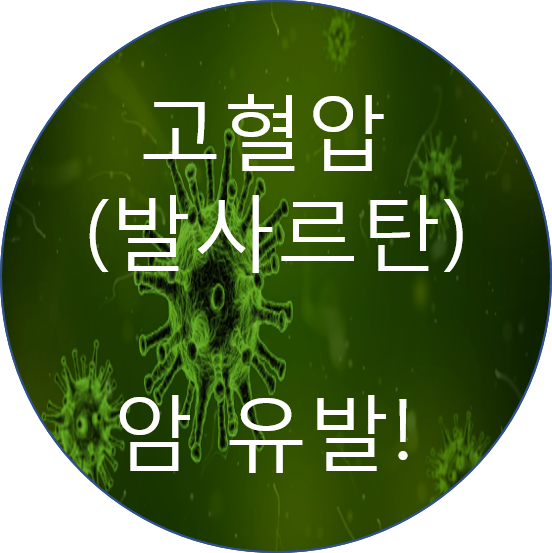 센신코리아 이미지