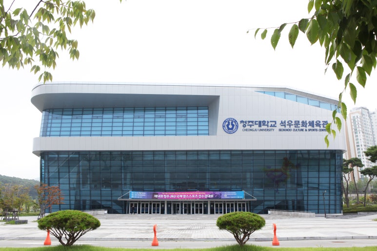 국제 댄스 스포츠 이미지