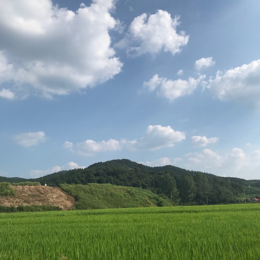 샘골농원 이미지