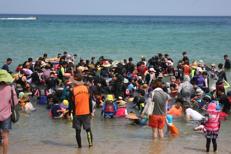 고래불이벤트 이미지