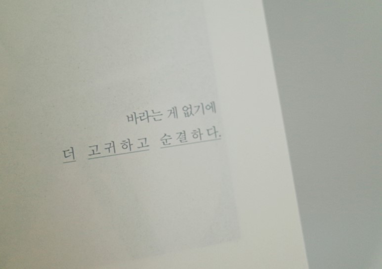 힐링솔가 이미지