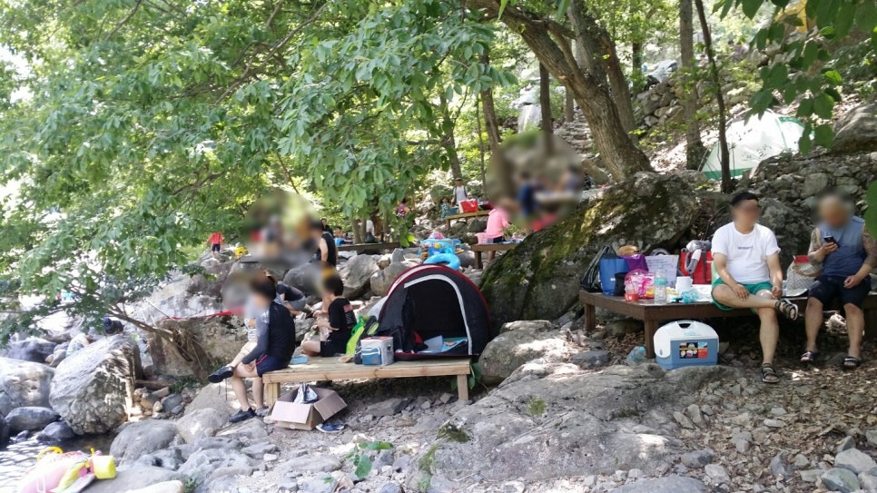 원동자연휴양림 이미지