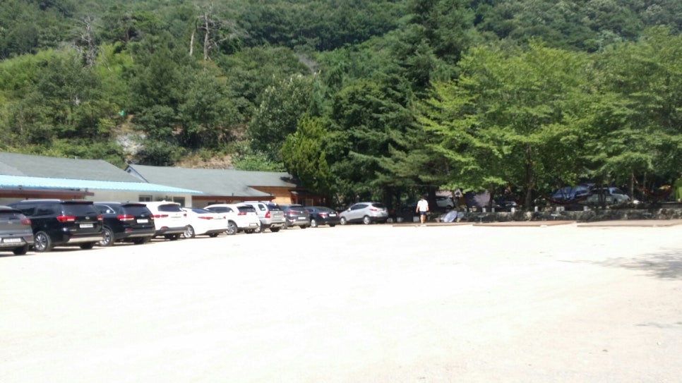 원동자연휴양림 이미지
