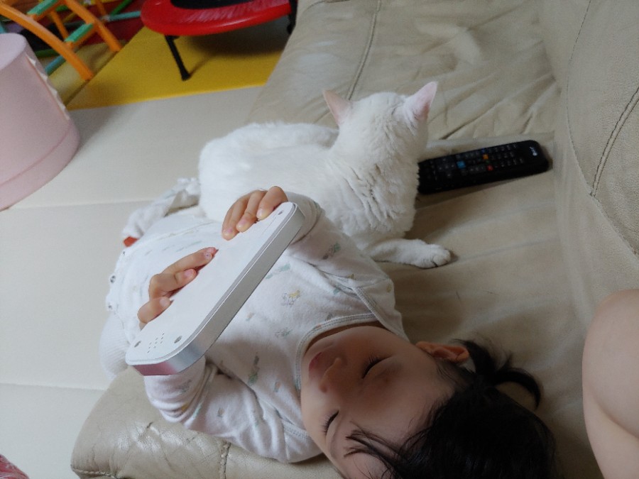 파머후레쉬 이미지