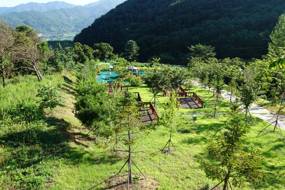 구례산수유 자연휴양림 이미지