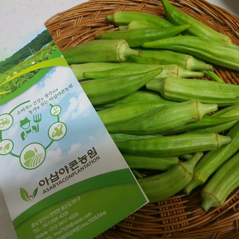 아삽야콘농원 이미지