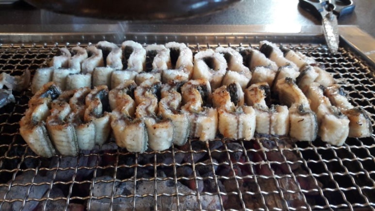 더장어 이미지