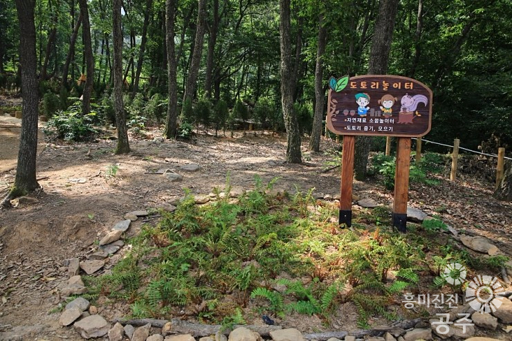 공주산림휴양마을 유아숲체험원 이미지