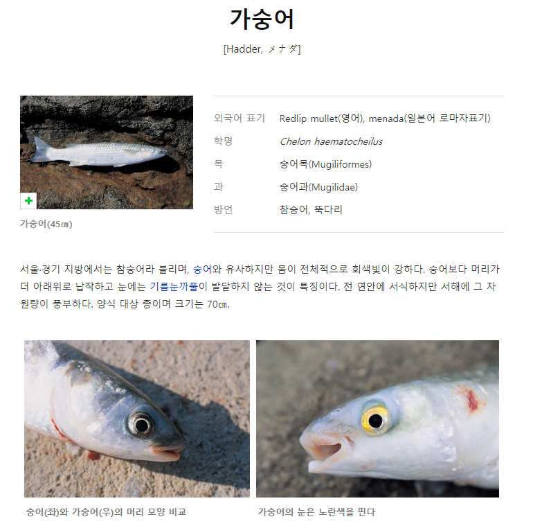 미광상회 이미지