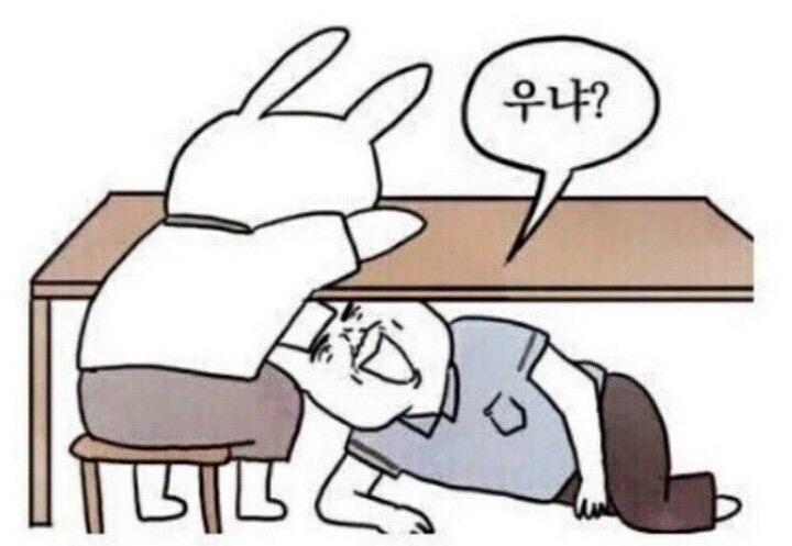 도라 이미지