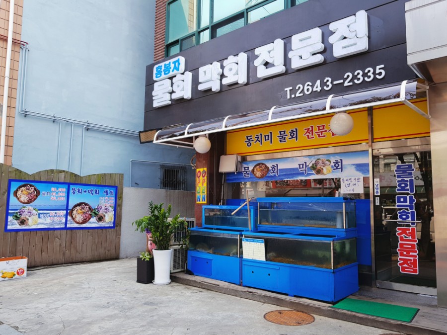 목동막회 이미지