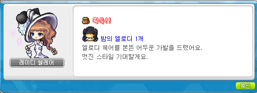 메이플헤어 이미지