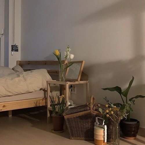 허가네 이미지