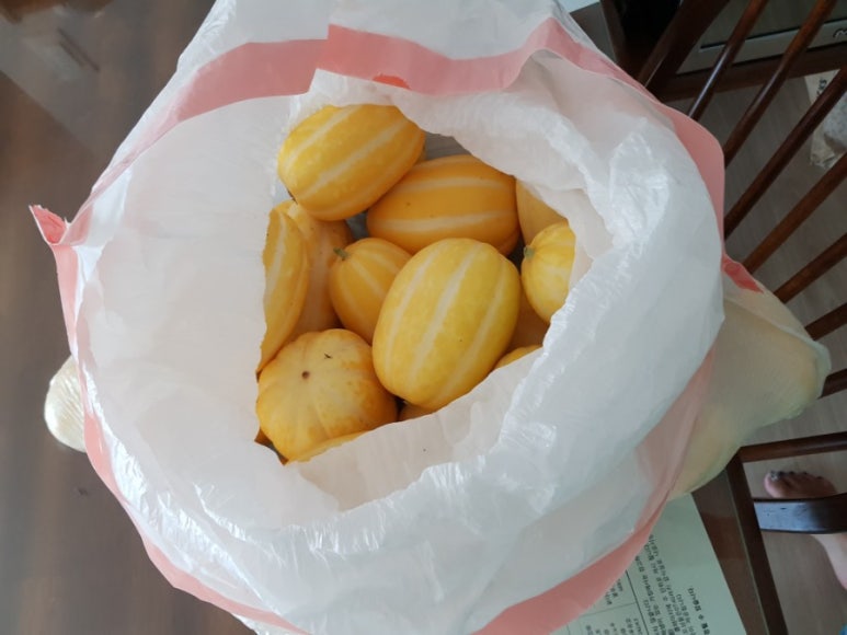 돌담체험농장 이미지